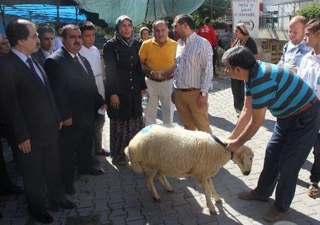 30 Yetime Hayırseverlerden Kurban Yardımı 2