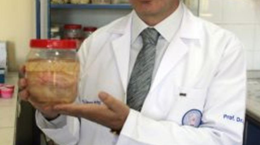 Kistli Organları K&ouml;peklere Yedirmeyin