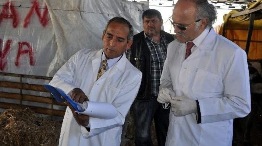 Kurban Bayramı'na Doğru