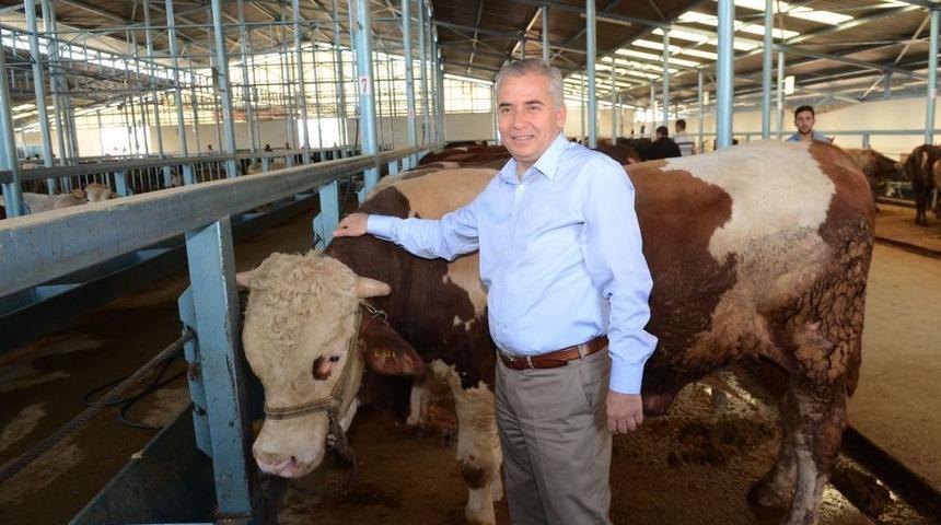 Başkan Zolan, Hayvan Pazarını Denetledi