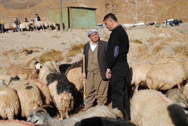 Hakkari Kurbanlık Pazarı Durgun