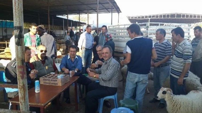 Ak Parti Milletvekili Kurban Pazarını Gezdi