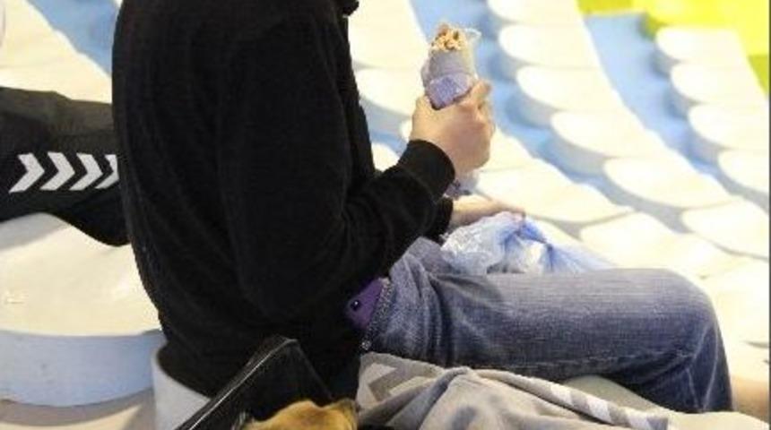 &Ccedil;antada Taşınan K&ouml;pek İlgi Odağı Oldu