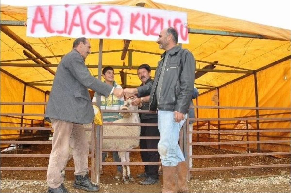 Aliağa Belediyesi&rsquo;nden Modern Kurban Satış Alanı