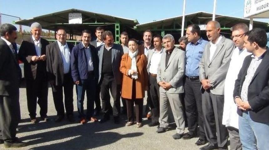 Milletvekili &Ccedil;alık: &ldquo;hayvancılık Osb İ&ccedil;in Girişimlerimiz S&uuml;r&uuml;yor&rdquo;