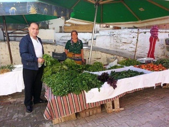 Ak Partili Çakıroğlu, Üreticinin Yanında