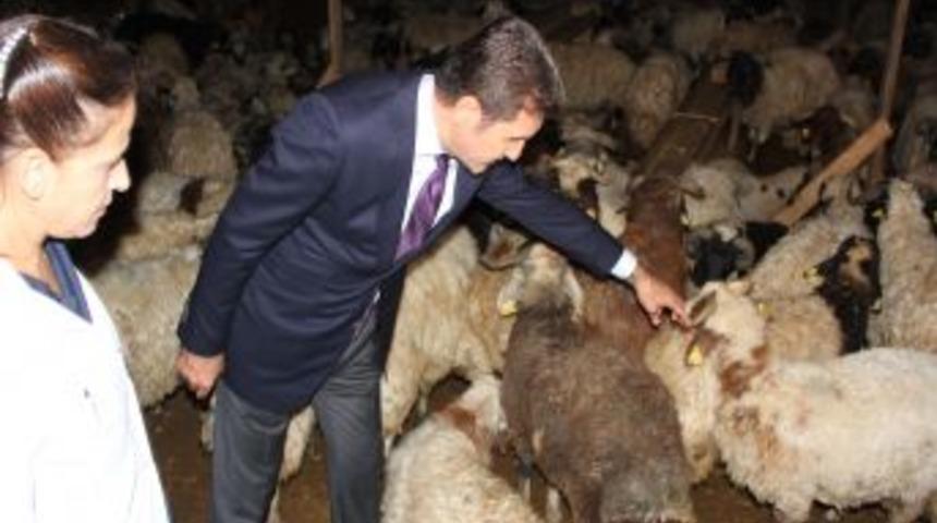 Sarıg&uuml;l Adaylık S&uuml;reciyle Ilgili Soruları Cevapsız Bıraktı