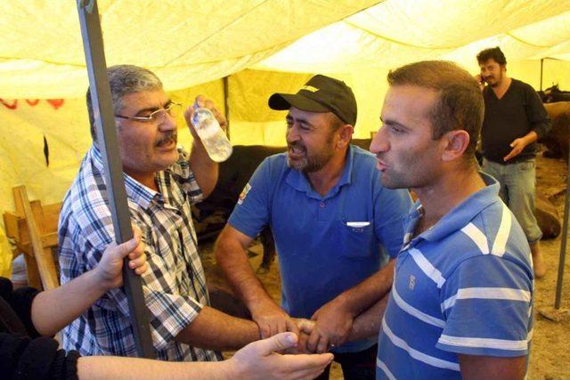 Kurbanlıklar Erken Bitti 2