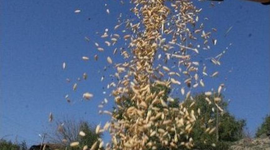 Prin&ccedil; &Uuml;reticisinin Y&uuml;z&uuml;n&uuml; G&uuml;ld&uuml;rm&uuml;yor