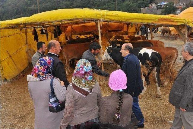 Başkan Gümrükçüoğlu Kurban Satış Yerinde İncelemelerde Bulundu