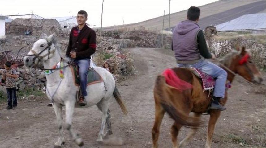 Atların M&uuml;zik Eşliğindeki Dansları Şaşırttı