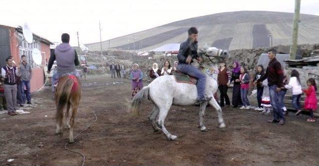 Atların Müzik Eşliğindeki Dansları Şaşırttı