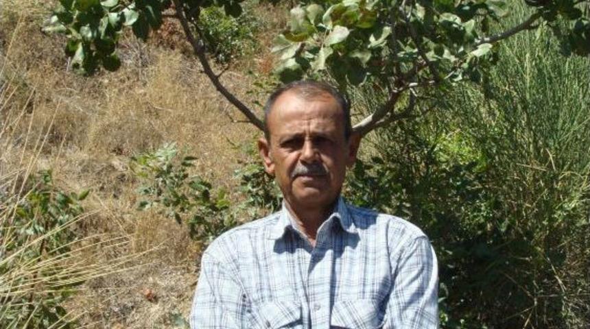 Aydınlı &Ccedil;ift&ccedil;ilere 'fıstık' Gibi Gelir