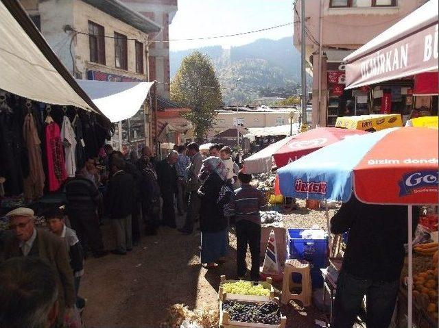 Gurbetçiler Küre’ye Akın Etti