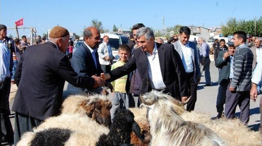 Kurban Pazarında Son G&uuml;n Yoğunluğu