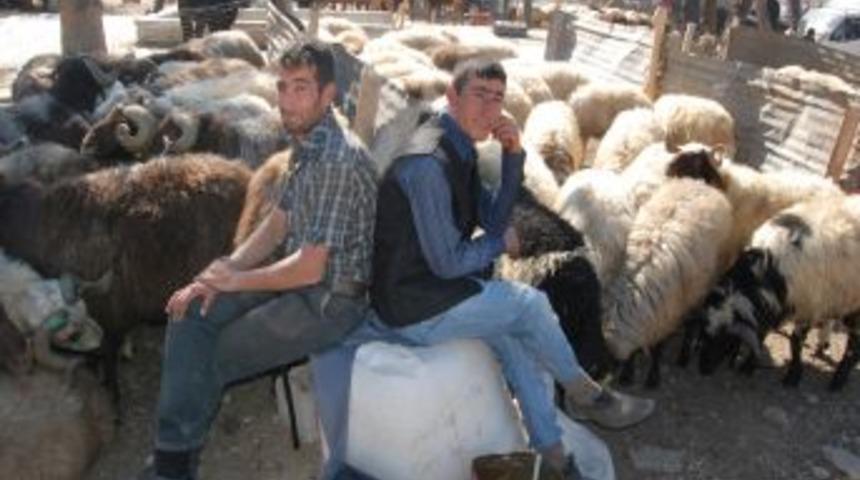 Kurbanlık I&ccedil;in Pazarlıklar Devam Ediyor