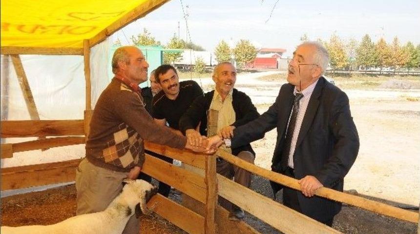 Başiskele Kurban Pazarı Bayramın 4. G&uuml;n&uuml;ne Kadar A&ccedil;ık