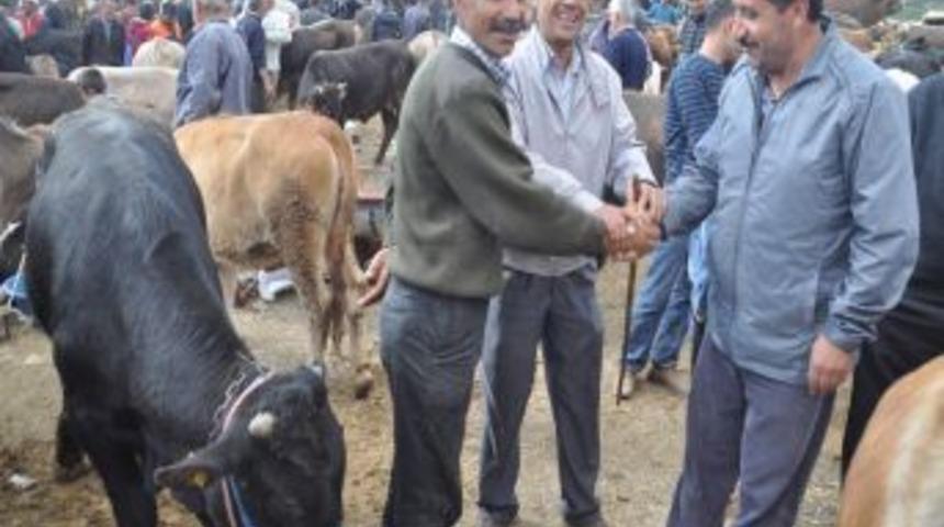 Kurban Bayramı Arifesinde Hayvan Pazarlıkları Kızıştı