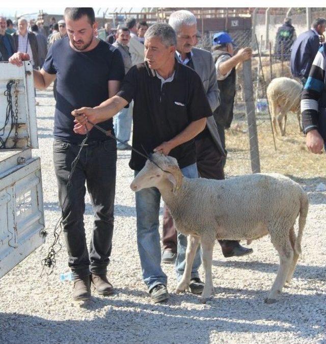 Kurbanlıklar Vatandaşları Terletti