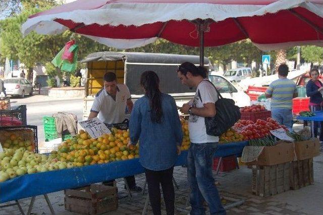 Domates Ve Salatalık Yüzde Yüz Zamlandı