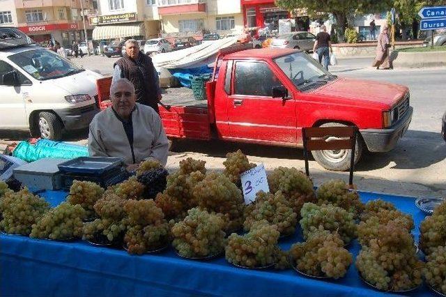 Domates Ve Salatalık Yüzde Yüz Zamlandı