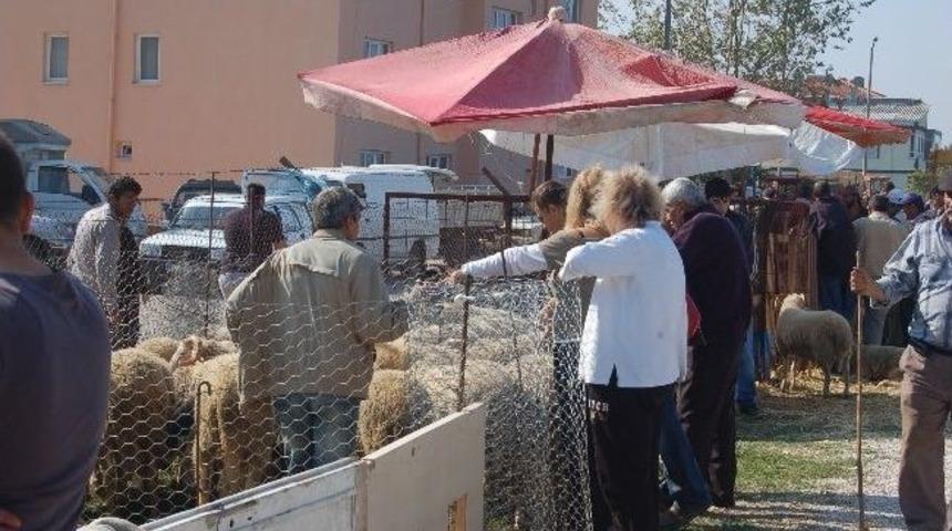 Kurbanlıklar G&ouml;r&uuml;c&uuml;ye &Ccedil;ıktı