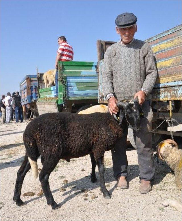 Kurban Pazarında Bakan Çok Alıcı Yok