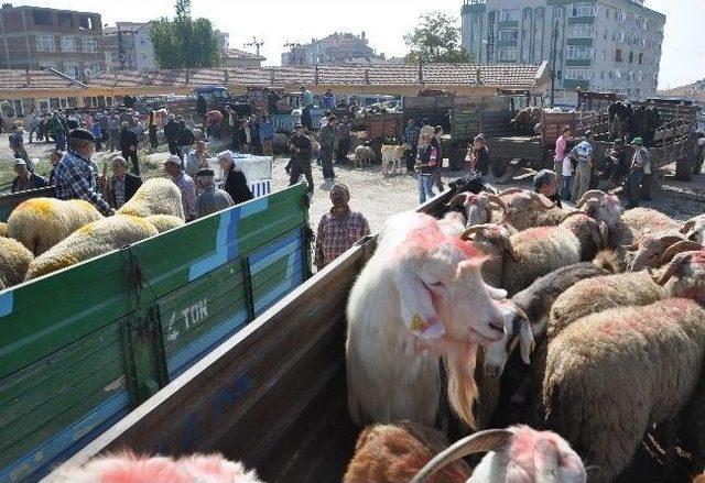 Kurban Pazarında Bakan Çok Alıcı Yok