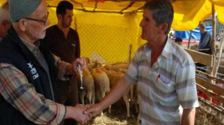 Kurbanlıkların Hepsini Satmanın Sevincini Yaşıyorlar
