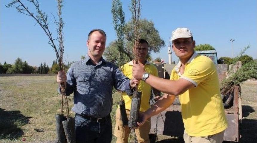 Manisa&rsquo;da Kabir Ziyaret&ccedil;ilerine 10 Bin Selvi Fidanı