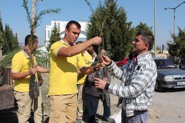 Manisa&rsquo;da Kabir Ziyaret&ccedil;ilerine 10 Bin Selvi Fidanı 1