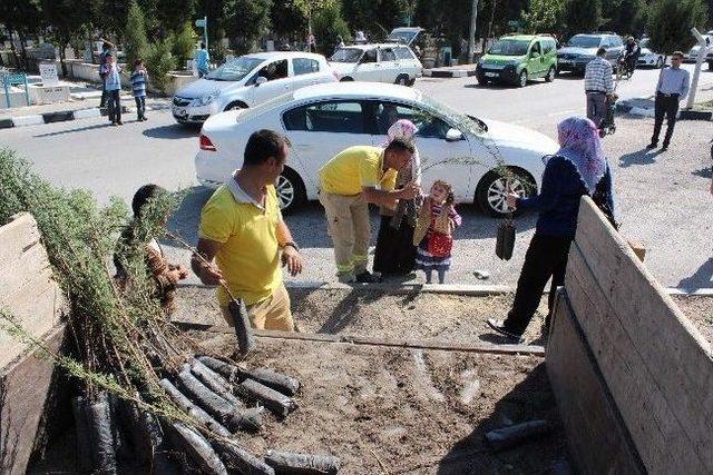 Manisa&rsquo;da Kabir Ziyaret&ccedil;ilerine 10 Bin Selvi Fidanı 2