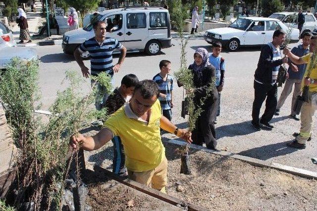 Manisa&rsquo;da Kabir Ziyaret&ccedil;ilerine 10 Bin Selvi Fidanı 3