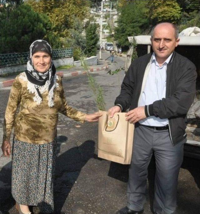 Orman Bölge Müdürlüğü Mezarlıkta Fidan Dağıttı 1