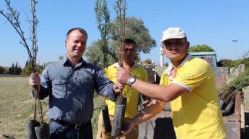 Manisa Orman İşletme Mezarlık Ziyaret&ccedil;ilerine Fidan Dağıttı