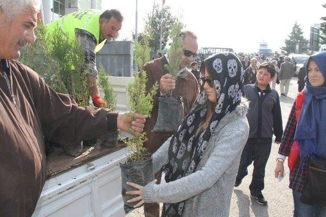 İlkadım’dan Ücretsiz Fidan Dağıtımı