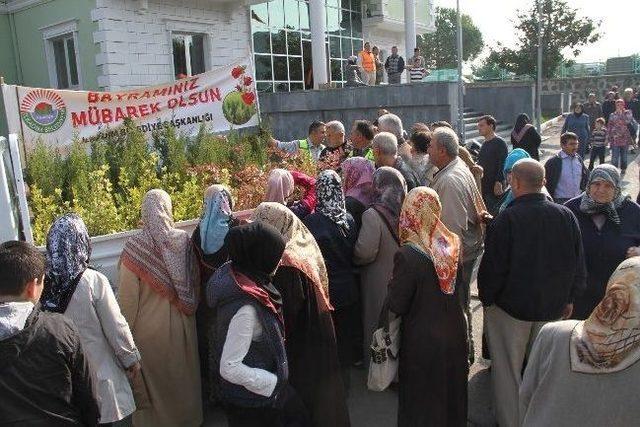 İlkadım’dan Ücretsiz Fidan Dağıtımı