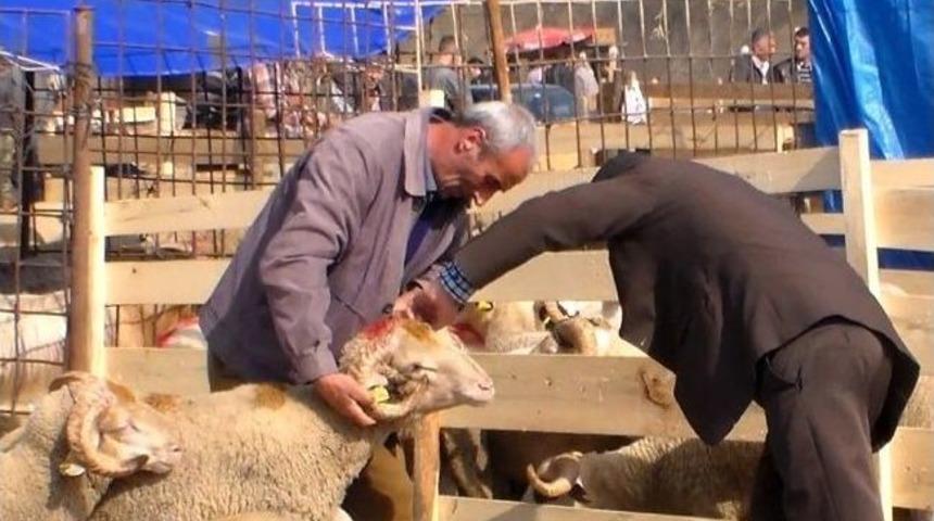 Kurban Pazarında Son G&uuml;n Yoğunluğu