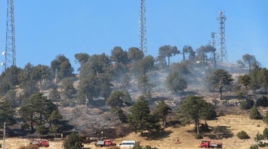 Mut&rsquo;ta Orman Yangını