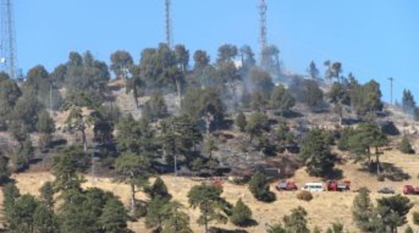 Mut'taki Orman Yanıgınında 10 D&ouml;n&uuml;m Ardı&ccedil; Ağacı Zarar G&ouml;rd&uuml;.