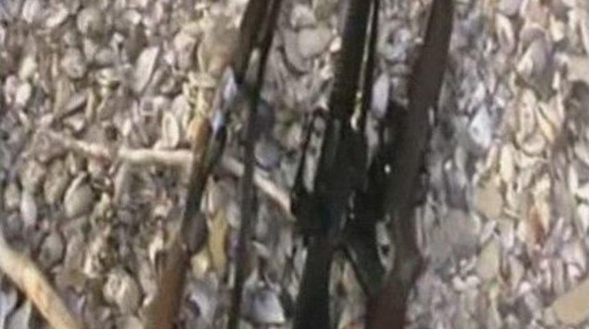 Gebze&rsquo;de denizden silahlar &ccedil;ıktı