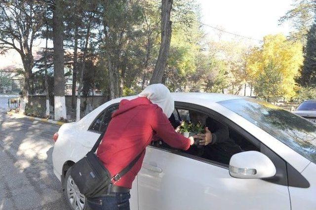 Kabir Ziyaretine Gelenlere Menekşe Ve Çam Fidanları Belediyeden