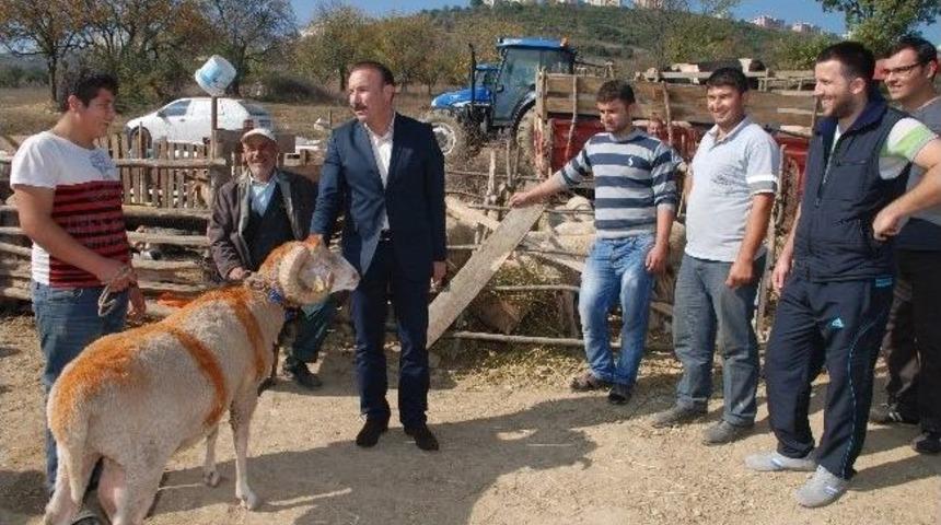 Başkan Doğan Kurban Pazarını Ziyaret Etti