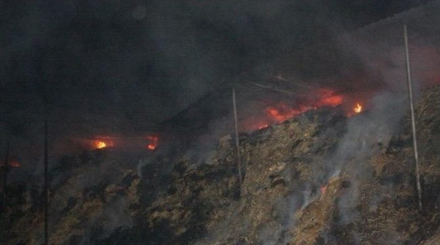 Şanlıurfa&rsquo;da &Ccedil;iftlik Yangını