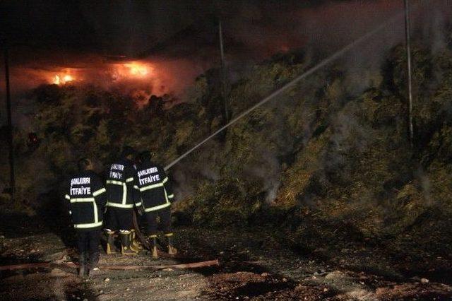 Şanlıurfa&rsquo;da &Ccedil;iftlik Yangını 1