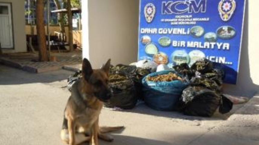 Polis, Esrar Ka&ccedil;ak&ccedil;ılarına Bayram Yaptırmadı