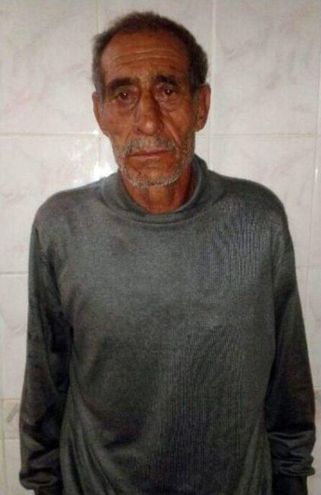 Otomobilden &ccedil;ıkan koyunlar şaşırttı 2