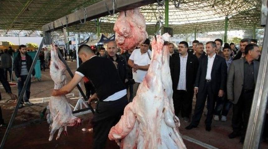 Başkan Tahmazoğlu, Vatandaşlarla Bayramlaştı Kurban Kesim Yerlerini Ziyaret Etti