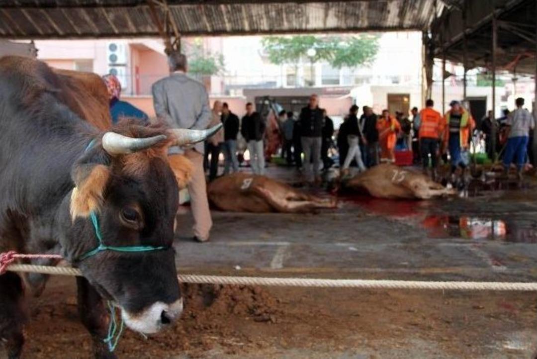 Samsun&rsquo;da Kurbanlıklar Kesilmeye Başlandı