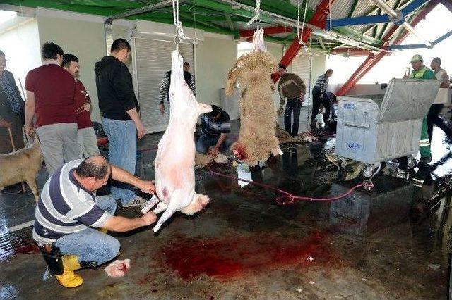 Osmangazi Belediyesi nden Örnek Kurban Bayramı 2